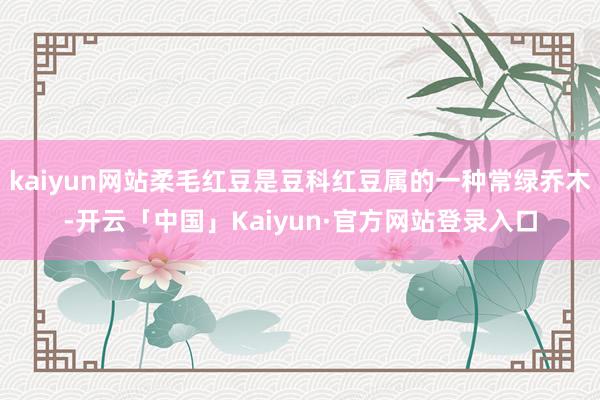 kaiyun网站柔毛红豆是豆科红豆属的一种常绿乔木-开云「中国」Kaiyun·官方网站登录入口