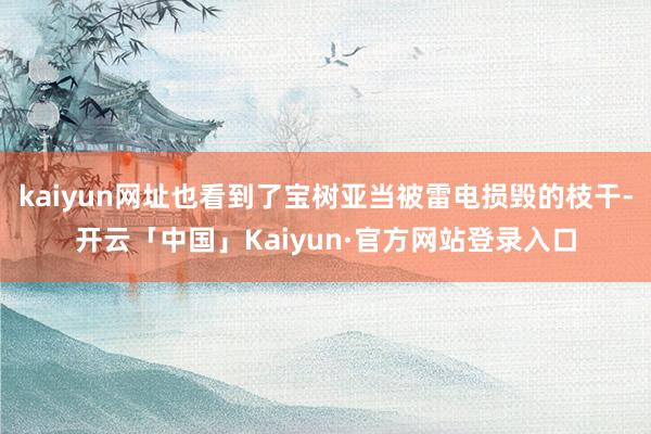 kaiyun网址也看到了宝树亚当被雷电损毁的枝干-开云「中国」Kaiyun·官方网站登录入口