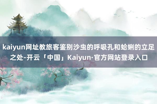 kaiyun网址教旅客鉴别沙虫的呼吸孔和蛤蜊的立足之处-开云「中国」Kaiyun·官方网站登录入口