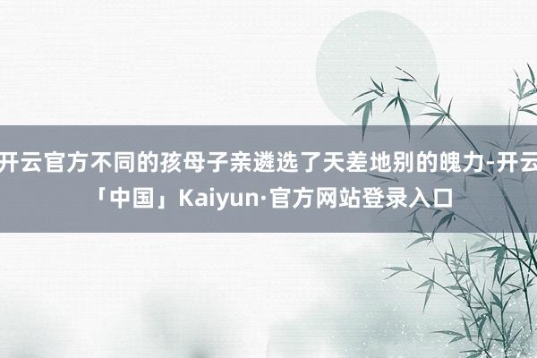 开云官方不同的孩母子亲遴选了天差地别的魄力-开云「中国」Kaiyun·官方网站登录入口