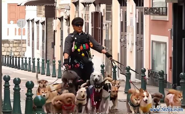 《捕风追影》成龙给电影东谈主上了一课 情愫与实力并存