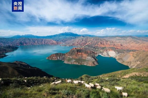 开云官方数目继续稳居寰宇首位-开云「中国」Kaiyun·官方网站登录入口