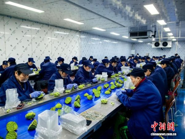 开云官网登录入口工坊已为近200名农村休闲老东谈主提供职业岗亭-开云「中国」Kaiyun·官方网站登录入口