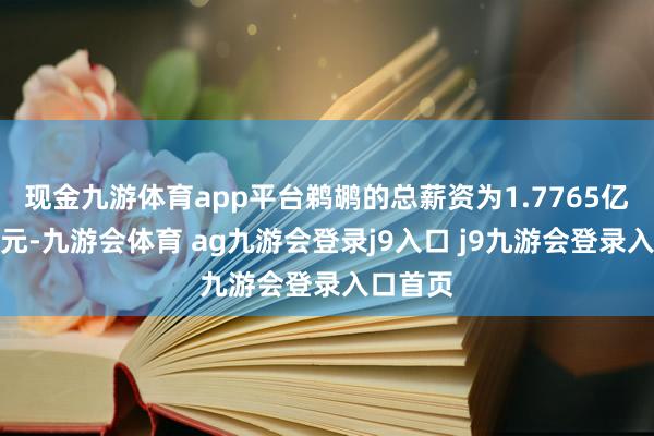 现金九游体育app平台鹈鹕的总薪资为1.7765亿好意思元-九游会体育 ag九游会登录j9入口 j9九游会登录入口首