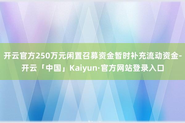 开云官方250万元闲置召募资金暂时补充流动资金-开云「中国」Kaiyun·官方网站登录入口