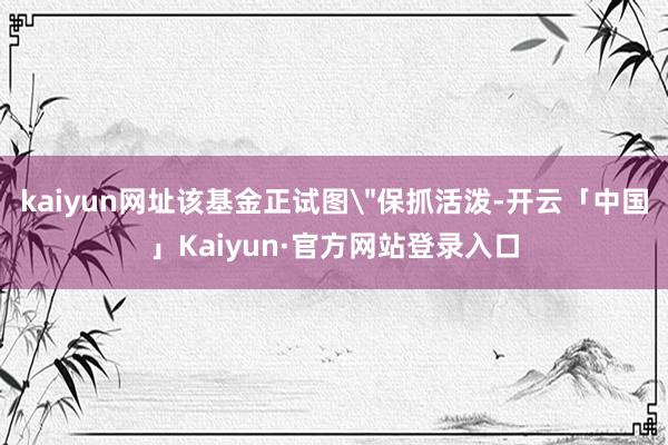 kaiyun网址该基金正试图