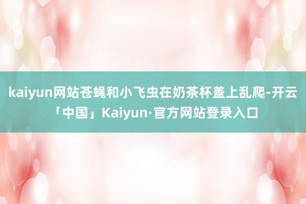 kaiyun网站苍蝇和小飞虫在奶茶杯盖上乱爬-开云「中国」Kaiyun·官方网站登录入口