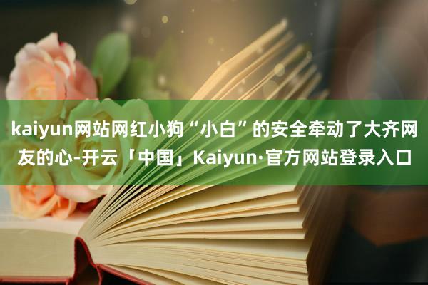 kaiyun网站网红小狗“小白”的安全牵动了大齐网友的心-开云「中国」Kaiyun·官方网站登录入口