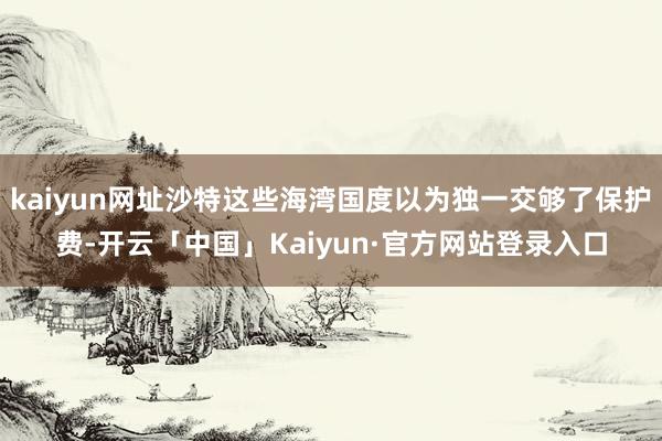 kaiyun网址沙特这些海湾国度以为独一交够了保护费-开云「中国」Kaiyun·官方网站登录入口