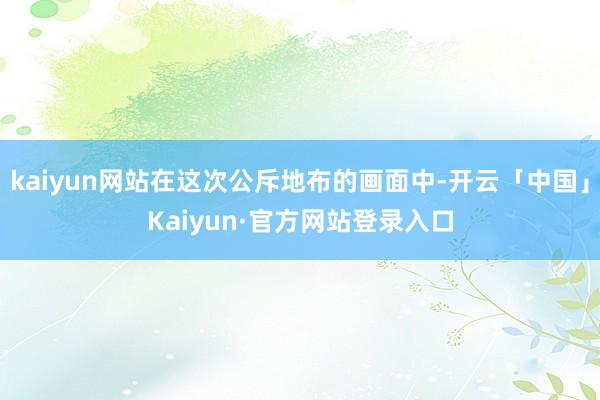 kaiyun网站在这次公斥地布的画面中-开云「中国」Kaiyun·官方网站登录入口