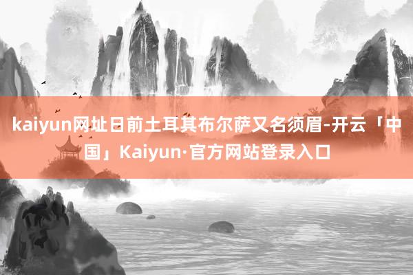 kaiyun网址日前土耳其布尔萨又名须眉-开云「中国」Kaiyun·官方网站登录入口