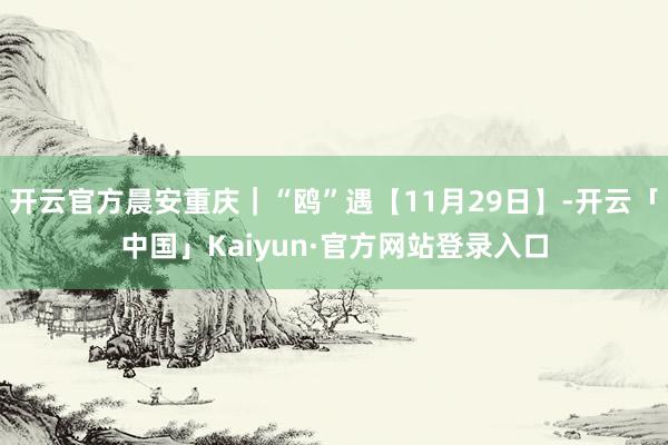 开云官方晨安重庆｜“鸥”遇【11月29日】-开云「中国」Kaiyun·官方网站登录入口